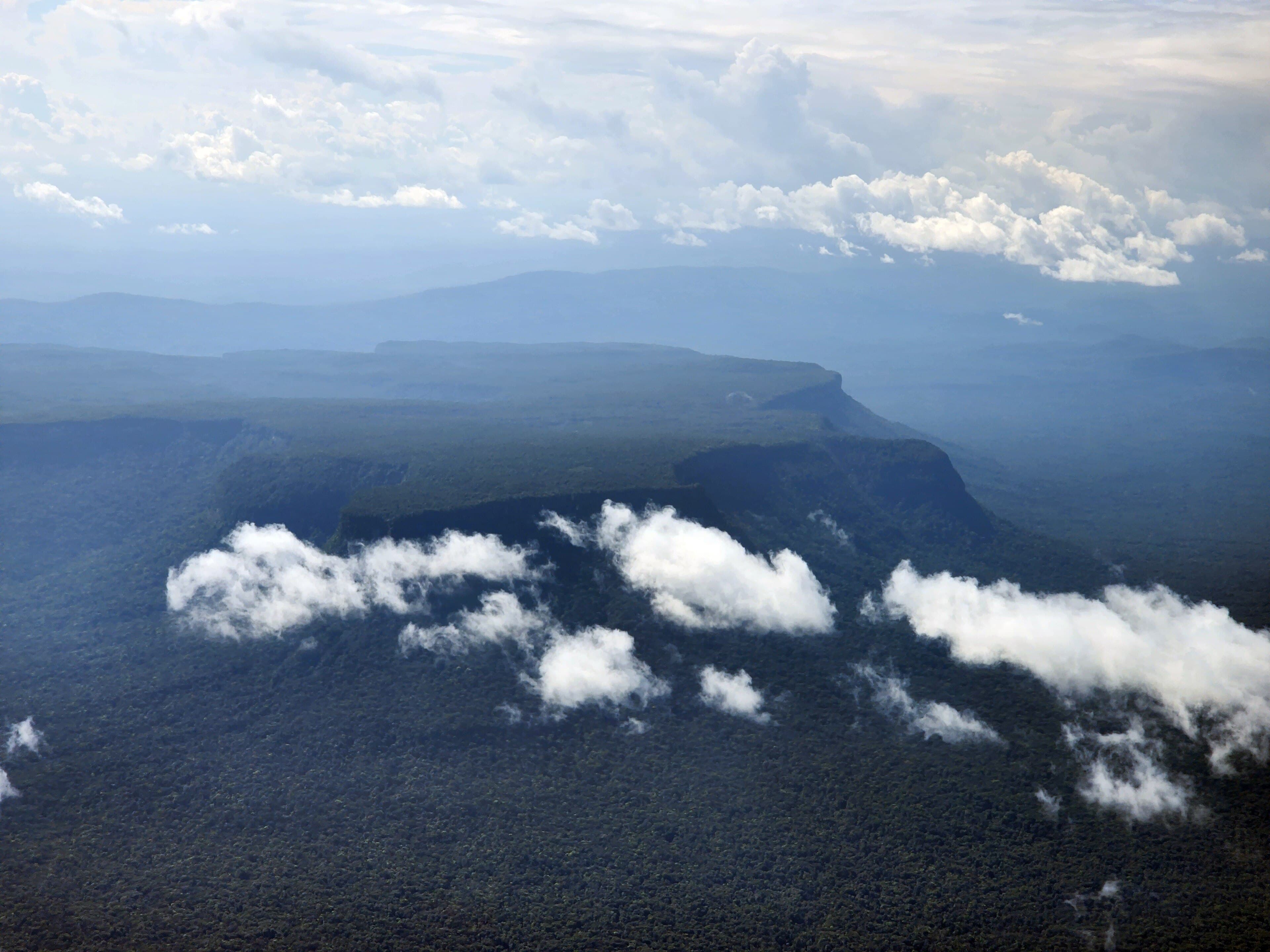 The flat-topped Tafelberg plateau rising above the Suriname rainforest